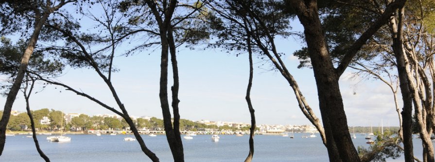 Törnvorschlag "Mallorca von Bucht zu Bucht"