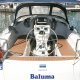 Bavaria cruiser 36 in Can Pastilla "Baluma"
